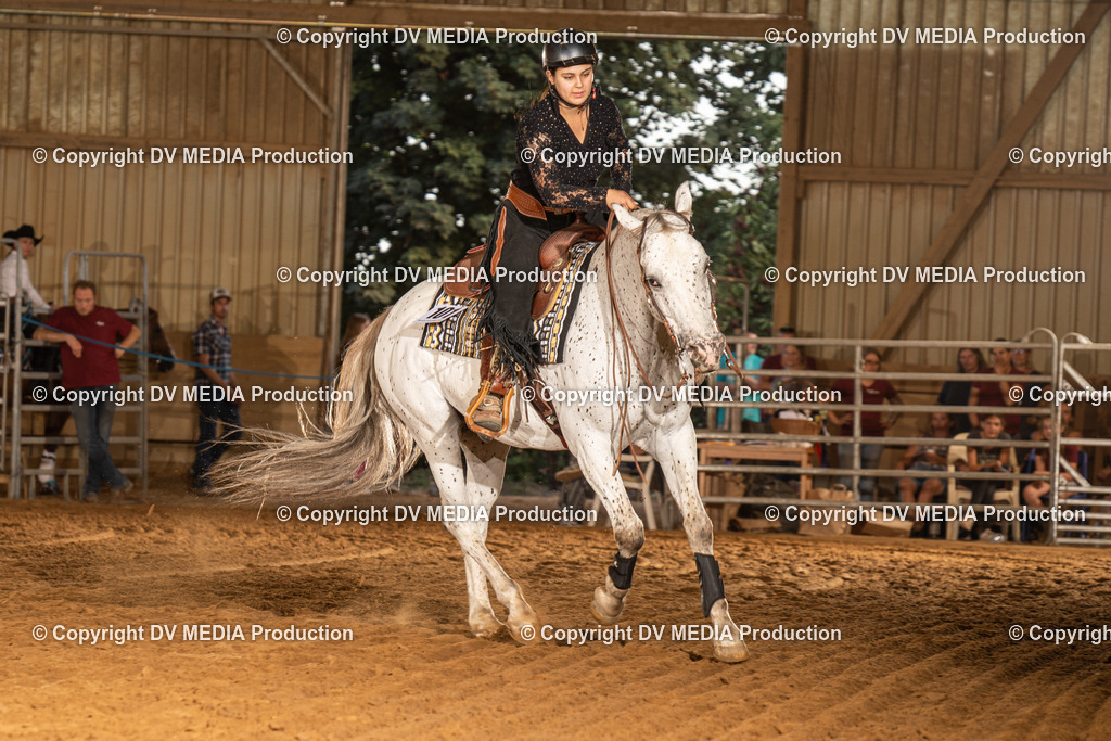 NID03959 | dv-media-shop - Realisiert mit Pictrs.com