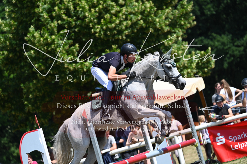 DSC_0686 | Pferde- und Turnierfotografie in Westsachsen. Pferdeportraits, Auftragszeichnungen und intuitive Kunst.