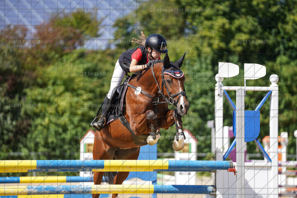 20240824-FAH08267 | Thierhaupten 2024, Bayerisches Landesponyturnier, Turnierbilder, Ponybilder, Turnierfotografen Bayern, Fotoagentur Herrmann