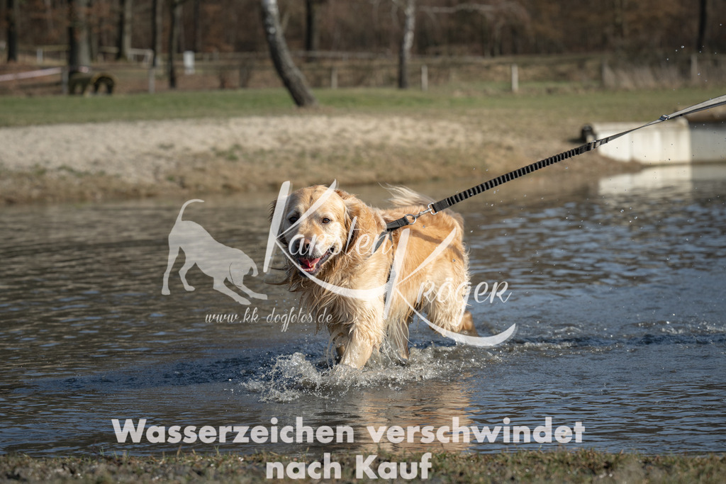 1332_ZZ96989 | kk-dogfotos