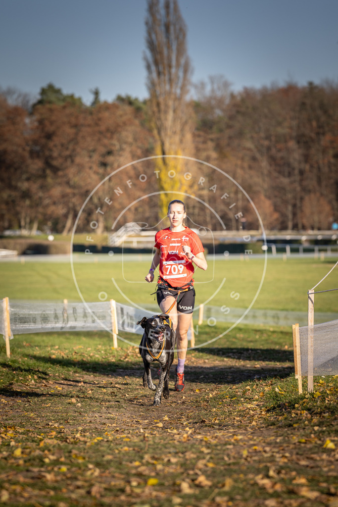 CaniXpix_DV3A1579 | Hundefotografie, Tierfotograf, Pfotenfotografie, Fotoshooting Hund, Hunde Portrait, Hundesport, Hundeportraits, Heideshooting, Hunde, Sportfotograf, Hundefotograf, Turnierhundsport, THS,  - Realisiert mit Pictrs.com