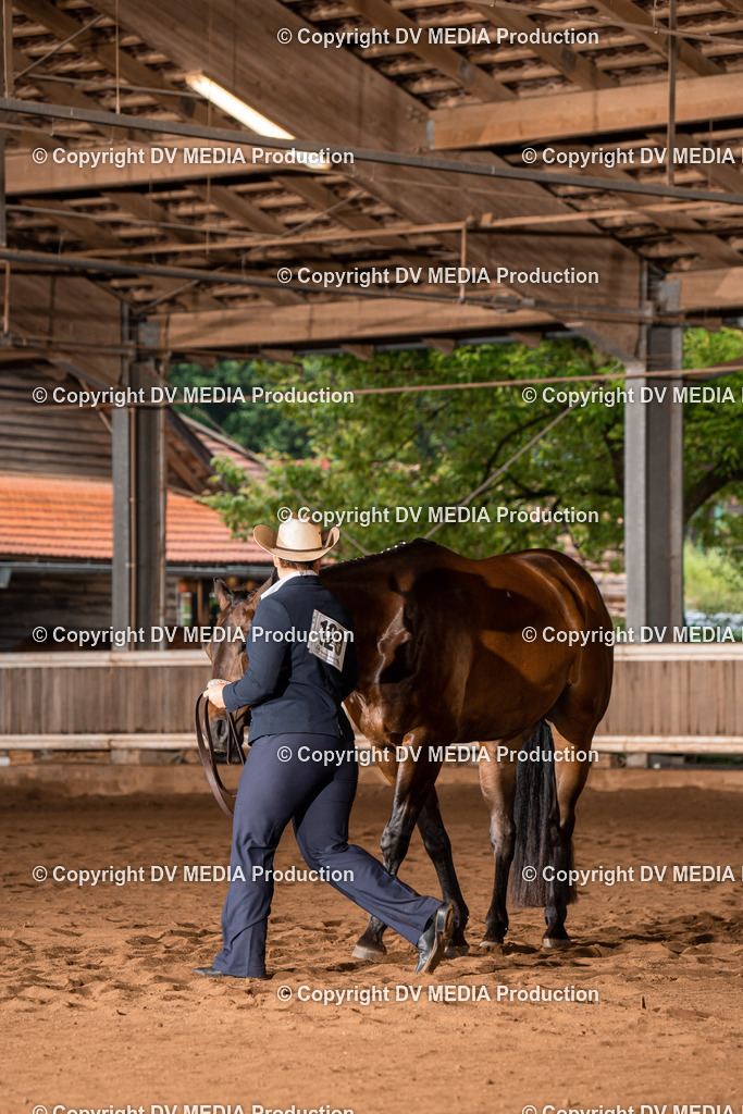 Erbach Tag 4-113 | dv-media-shop - Realisiert mit Pictrs.com