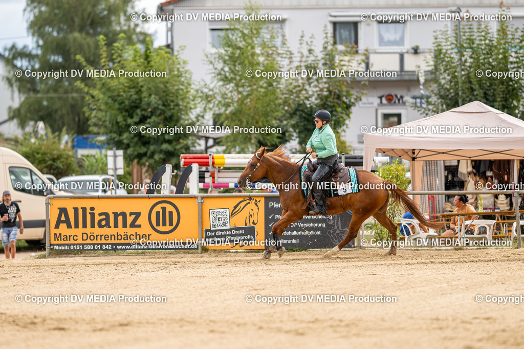 LM Heiligenwald Tag 2-914 | dv-media-shop - Realisiert mit Pictrs.com