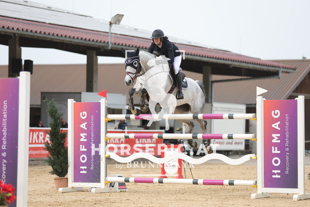 0P6A7541 | Willkommen bei Brunnmayr - Design & Fotografie – Ihrem Spezialisten für Reitturniere und Pferdeveranstaltungen in Oberösterreich, Salzburg und Bayern! Seit über 17 Jahren sind wir leidenschaftlich dabei.