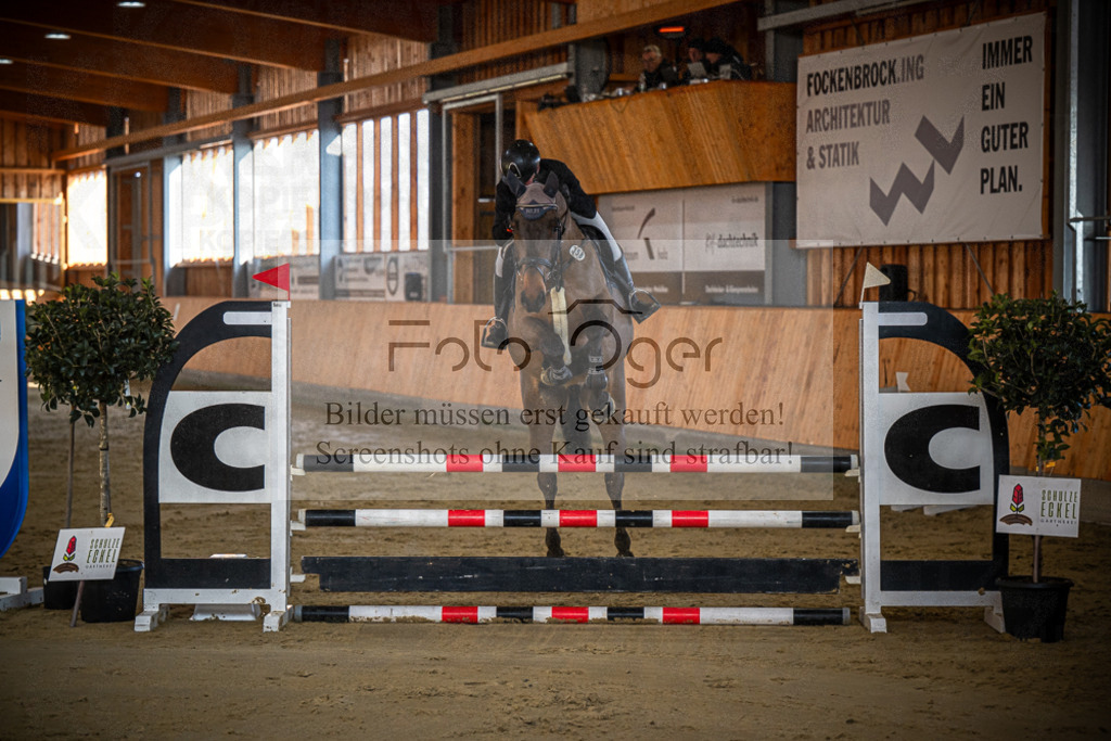 DOS_0186 | Entdecke hochwertige Reitturnierfotos von Foto Oger. Professionell, emotional und authentisch – jetzt Lieblingsmomente im Shop bestellen.Deutschlandweite Turnierfotografie. - Realisiert mit Pictrs.com