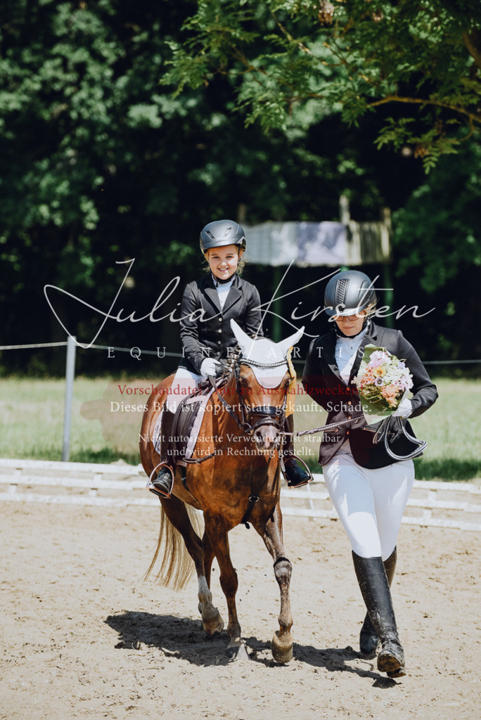 DSC_2691 | Pferde- und Turnierfotografie in Westsachsen. Pferdeportraits, Auftragszeichnungen und intuitive Kunst.
