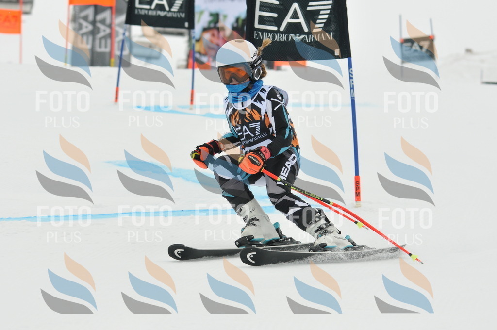 DSC_7600 | holidayphoto