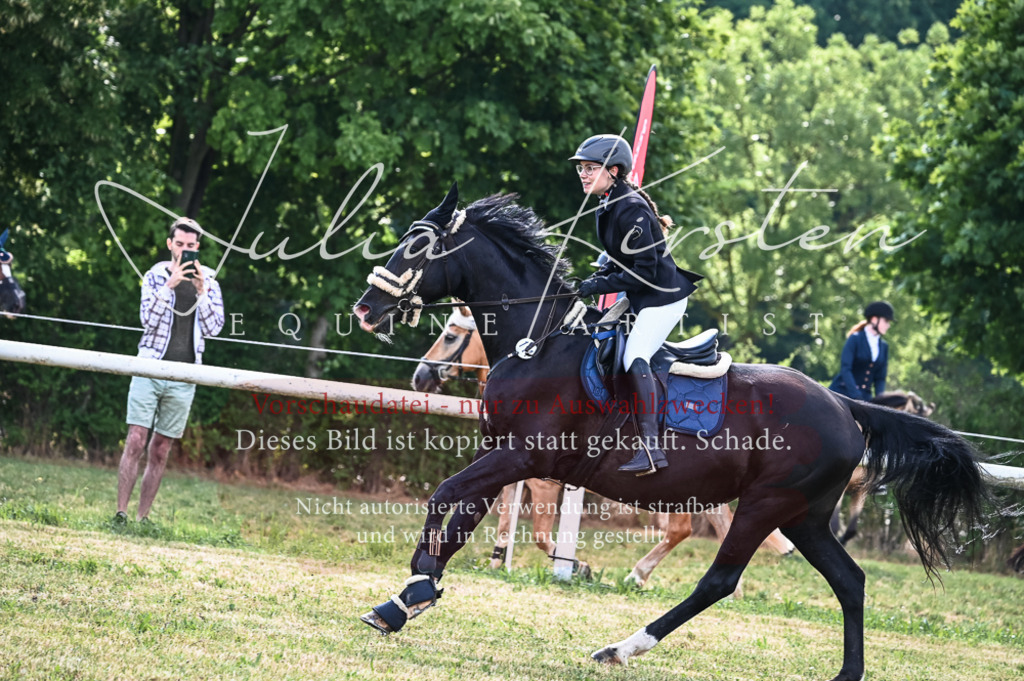 DSC_7881 | Pferde- und Turnierfotografie in Westsachsen. Pferdeportraits, Auftragszeichnungen und intuitive Kunst.