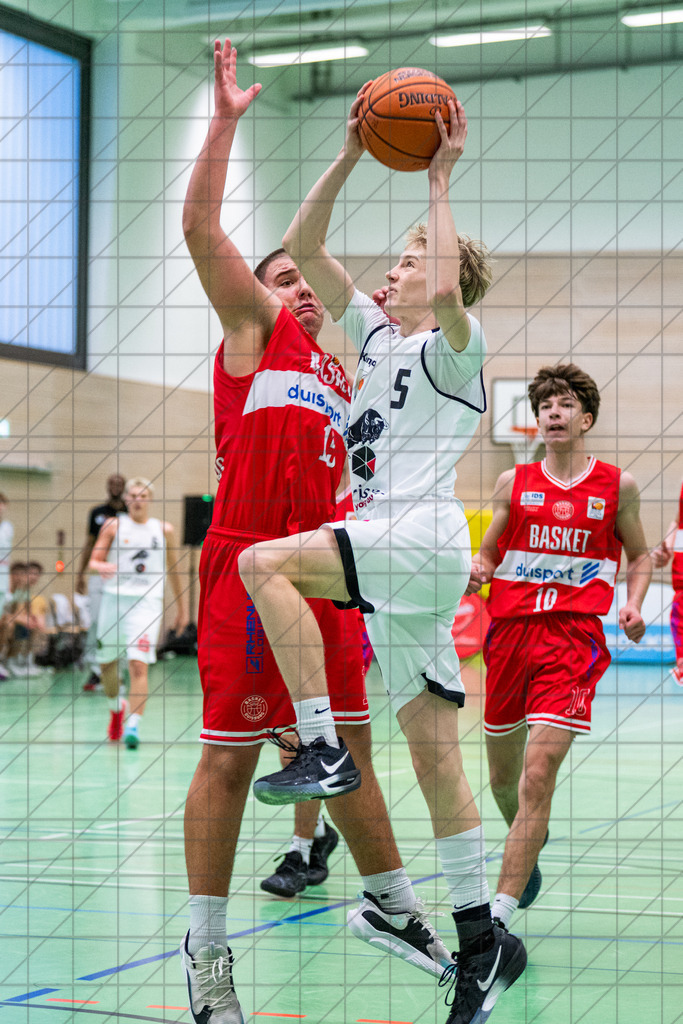 JBBL Vorrunde Gruppe 2 25/26 | Spieltag 06 | Charisma Young Bulls vs. Baskets Duisburg | 16.11.25: JBBL Vorrunde Gruppe 2 25/26 | Spieltag 06 | Charisma Young Bulls vs. Baskets Duisburg / Osnabrück / Deutschland  //   CREDIT:www.bullenfotos.de, Martin König, Hörner Weg 40, D-49078 Osnabrück, +4917663732967 // Nutzung und Weitergabe nur zu den vereinbarten Zwecken. Presseanfragen an Ersteller. Alle Rechte beim Ersteller. Honorierung nach MFM. - Realisiert mit Pictrs.com