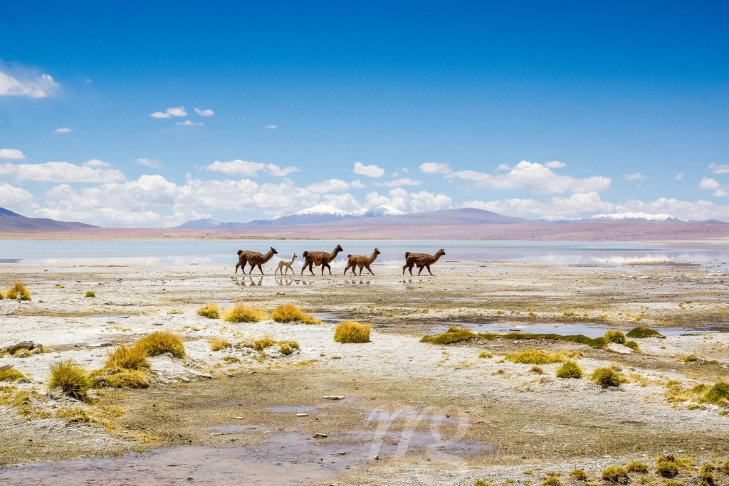 DSC02523 | Die ideale Geschenkidee für Naturliebhaber. Naturbilder von Marcel Gross Photography für ihr Zuhause in den verschiedensten Formaten und Materialien. - Realisiert mit Pictrs.com