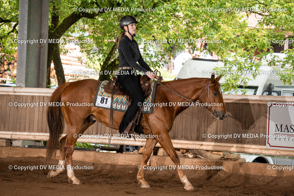 Erbach Tag 1-195 | dv-media-shop - Realisiert mit Pictrs.com