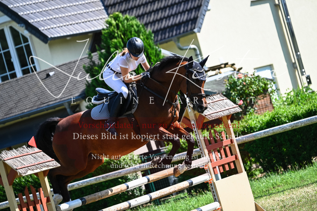 DSC_1738 | Pferde- und Turnierfotografie in Westsachsen. Pferdeportraits, Auftragszeichnungen und intuitive Kunst.