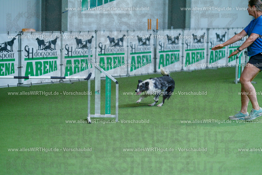 @allesWIRTHgut_Tierfotografie - www.allesWIRTHgut.de - 2604261400-7R503173 | Professionelle Tierfotografie in Mönchengladbach von Daniel Wirth (allesWIRTHgut). Liebevolle & natürliche Bilder von Hunden & Katzen für unvergessliche Erinnerungen.