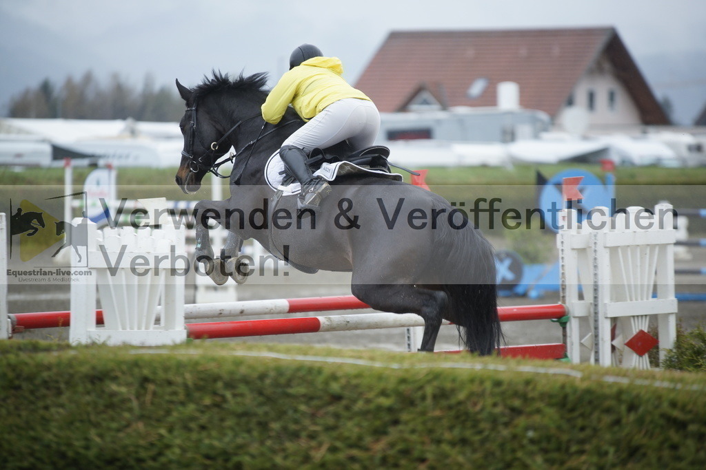 _DSC6280 | equestrian-live-com
