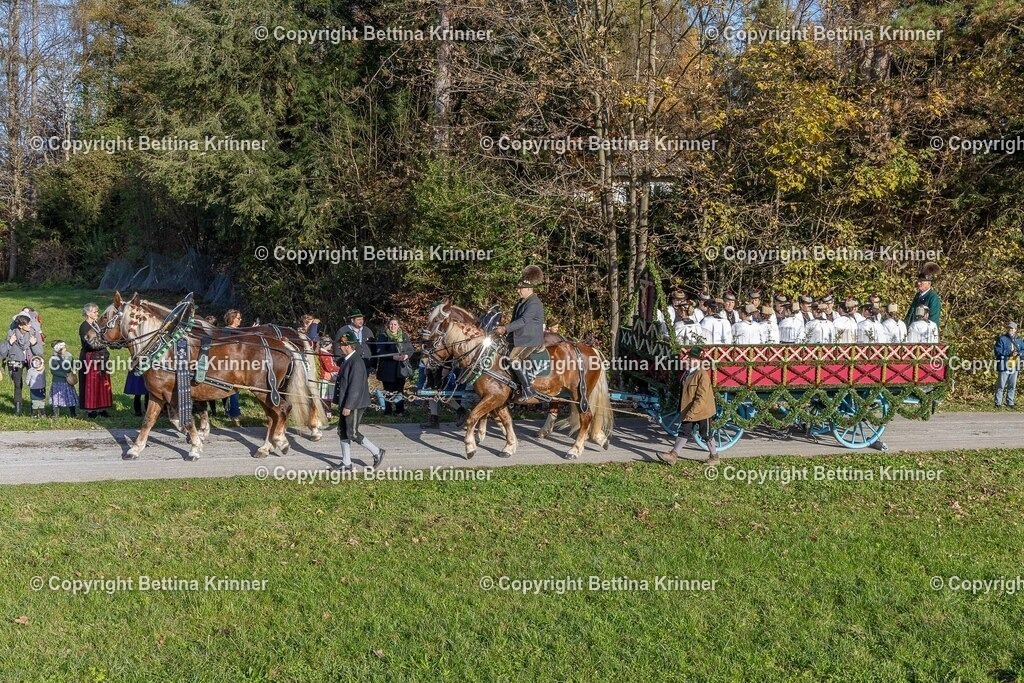 LBT24-245 | foto-bettina-krinner - Realisiert mit Pictrs.com