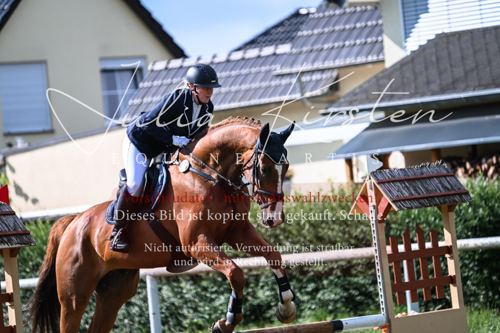 DSC_7762 | Pferde- und Turnierfotografie in Westsachsen. Pferdeportraits, Auftragszeichnungen und intuitive Kunst.