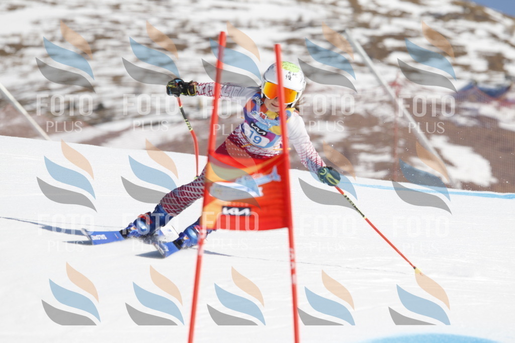 _U3G8834 | holidayphoto