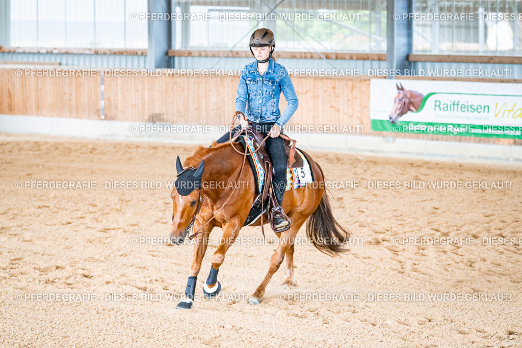 DSC09436 | Pferdegrafie