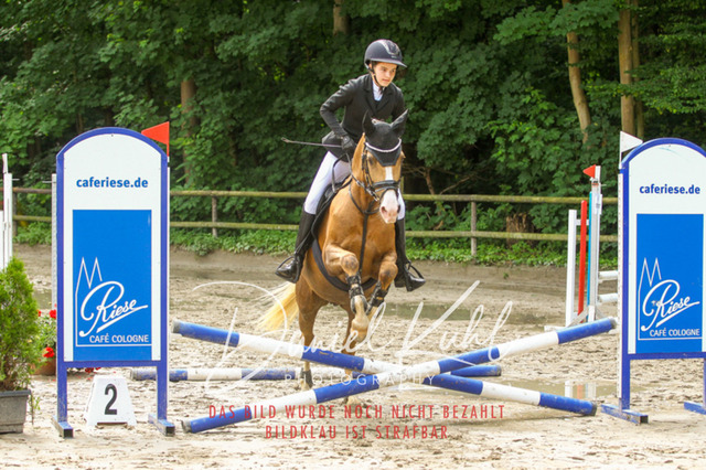 DKP44611 | Turniersportfotografie; Pferdefotografie; Dressurfotografie