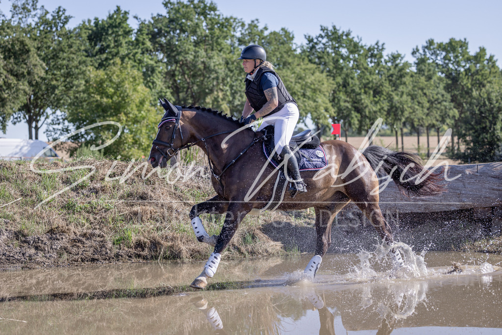20260906-_3LI2236 | Tierfotografie Pferde, Hunde, Katzen, Haustiere.
Turnierfotografie Reitturniere, Reiten, Springreiten, Dressur in Hanau, dem Main-Kinzig-Kreis und dem Rhein-Main- Gebiet um Frankfurt