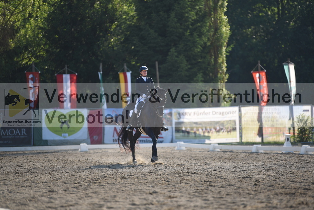 DSC_3249 | equestrian-live-com