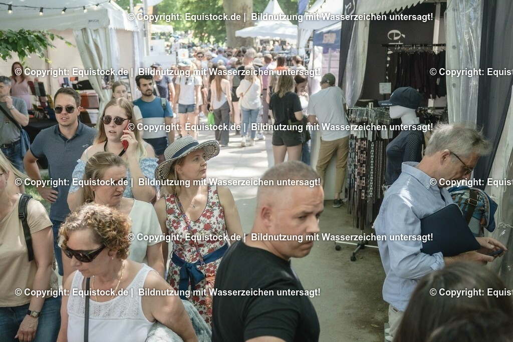 ZFC_4313 | equistock