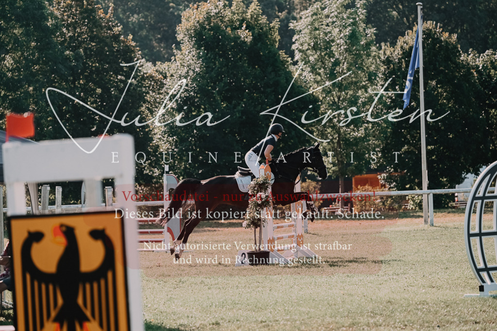 DSC_4701 | Pferde- und Turnierfotografie in Westsachsen. Pferdeportraits, Auftragszeichnungen und intuitive Kunst.