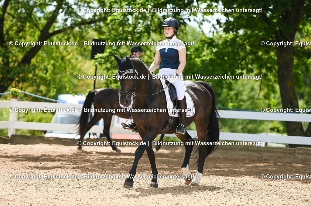 20230715_09_Dressur-WB_0196 | equistock