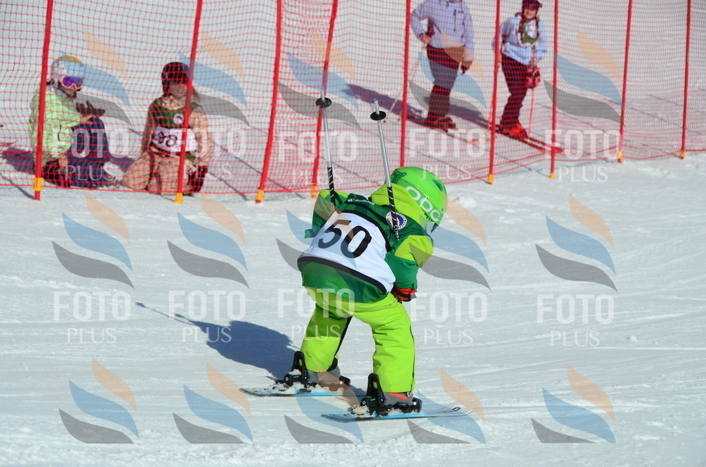 C5200 | holidayphoto