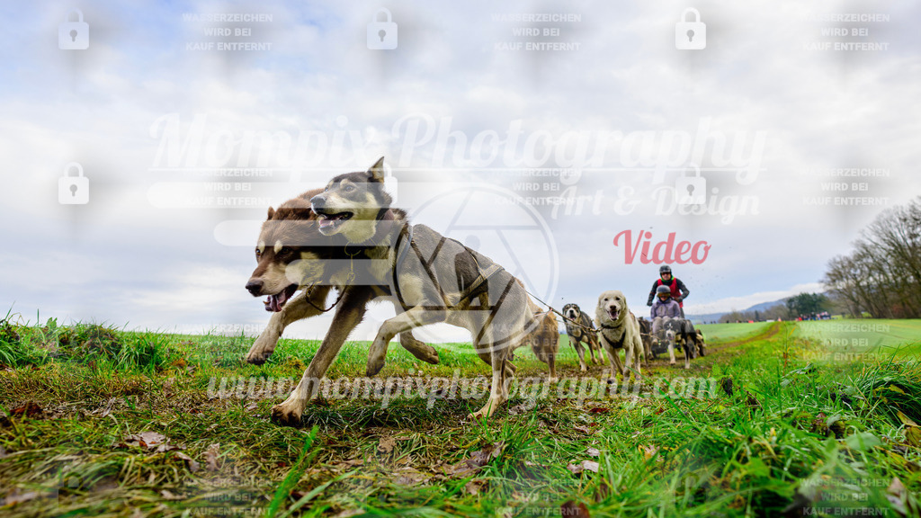 MompixPhotography_Staufertrail2024_SO_Kart-20 | PayLife