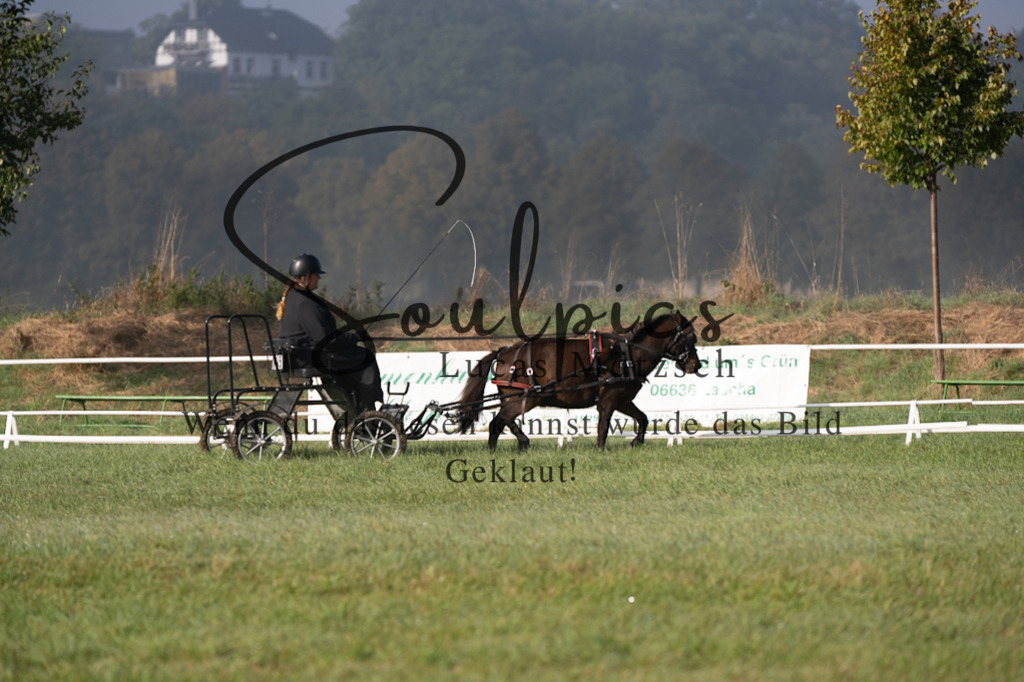 A7V04106 | Pferdefotograf