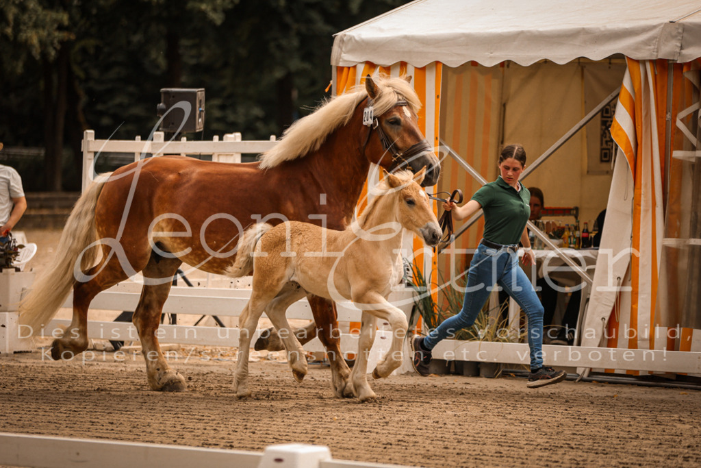 SaSF00007 | Leoni Ertmer Photography - Realisiert mit Pictrs.com