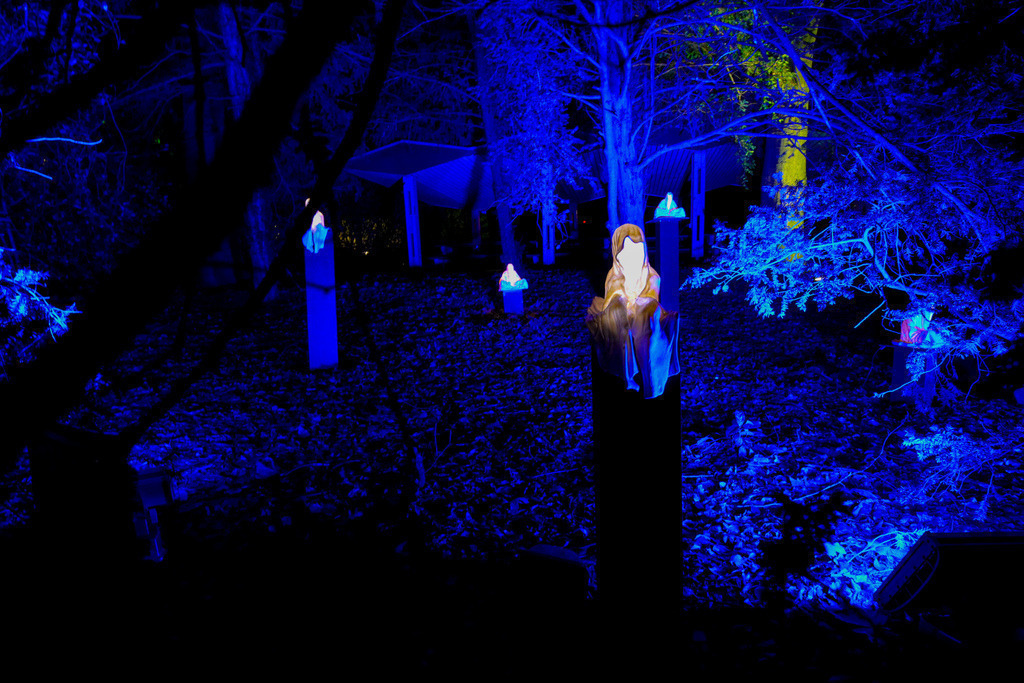 Parkleuchten_GrugaEssen24_62 | Bildergalerie von Sport-Ereignissen aber auch von weiteren spannenden Dingen - nicht nur vom Niederrhein. In Anlehnung an den bekannten Spruch von Hanns Dieter Hüsch heißt das Motto: "Niederrhein ist überall".  - Realisiert mit Pictrs.com