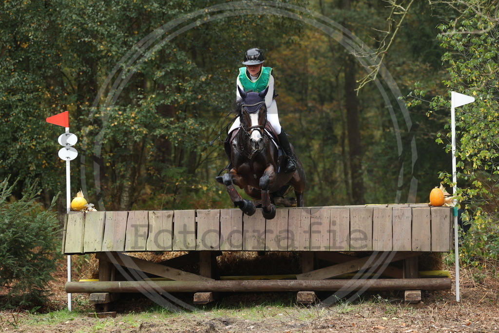 994A3293 | sabrinanicolaifotografie - Realisiert mit Pictrs.com