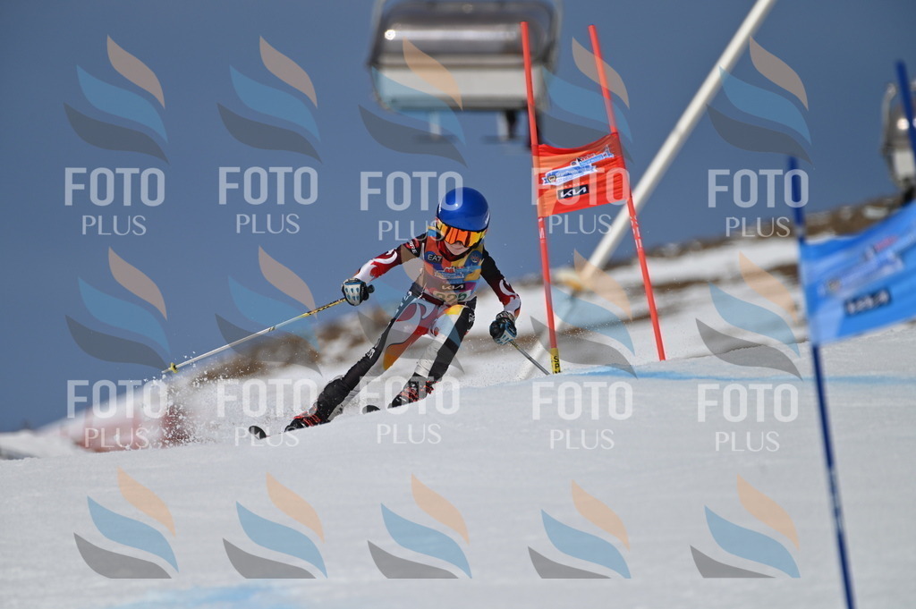 BGV_6423 | holidayphoto