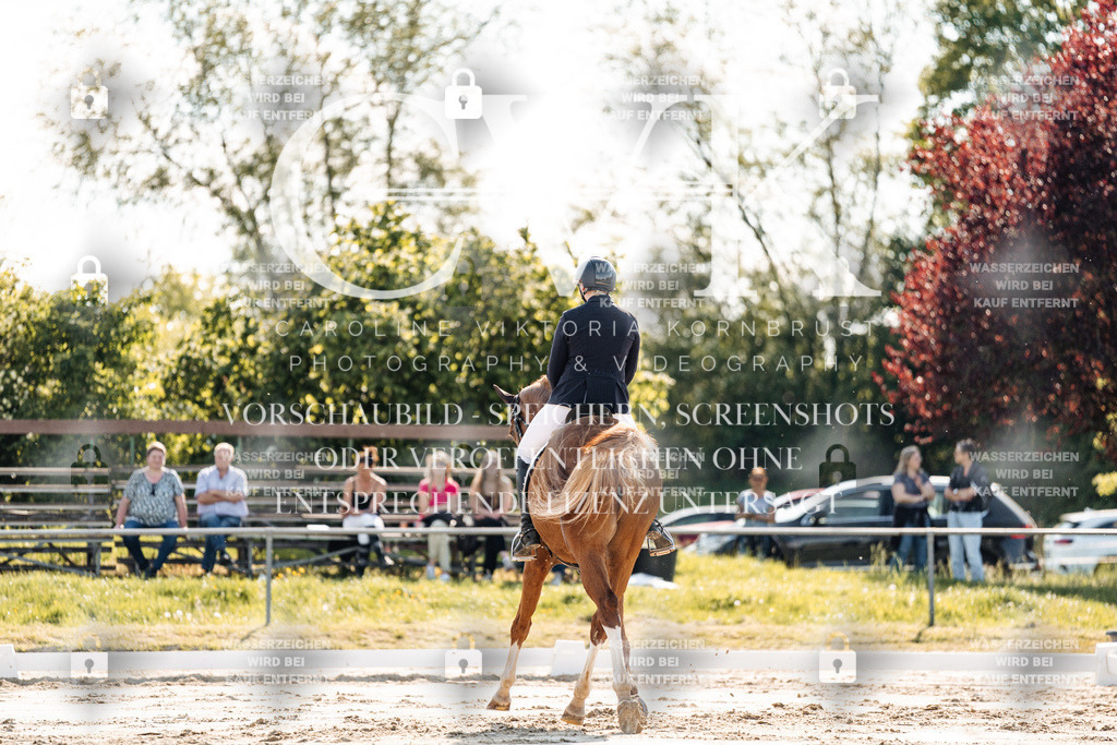 CK909315 | Turnierfotografie Pferdefotografie Trier Rheinland-Pfalz Pferdesport Reitsport Tierfotografie Sportfotografie Pferdevideo Pferdevideografie Equestrianvideography equestrianphotography  - Realisiert mit Pictrs.com