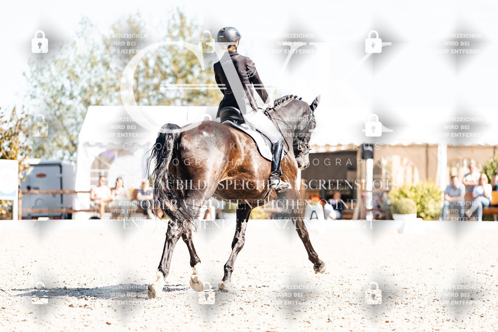 CK909919 | Turnierfotografie Pferdefotografie Trier Rheinland-Pfalz Pferdesport Reitsport Tierfotografie Sportfotografie Pferdevideo Pferdevideografie Equestrianvideography equestrianphotography  - Realisiert mit Pictrs.com