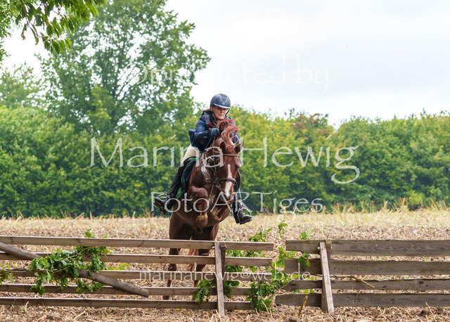 Jagd Kletkamp 26-03077_MarinaHewig | Fotografie, FotoArt, PferdesportArt, Pferdesportfotografie, Landschaftsfotografie, Reisefotografie, Reise, Pferde - Realisiert mit Pictrs.com