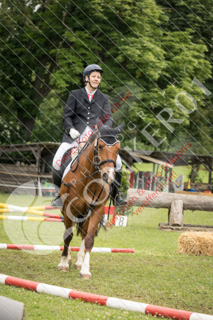 IMG_8334 | Sport-, Event- und Tierfotos in Profiqualität. Einfach auswählen, bestellen und herunterladen. Dein Moment – perfekt festgehalten.
