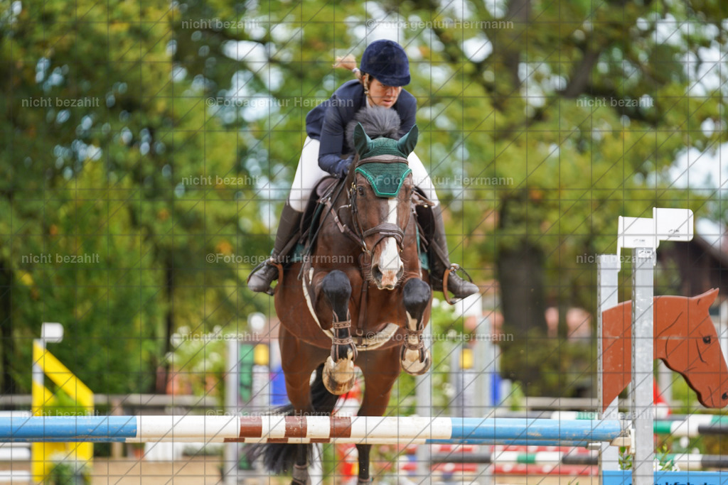 20221009-FAH08698 | Diessen am Ammersee, 2022, Dressur- und Springturnier, Reitsportbilder, Turnierfotografen Bayern, Pferdefotografen, Fotoagentur Herrmann, Turnierbilder
