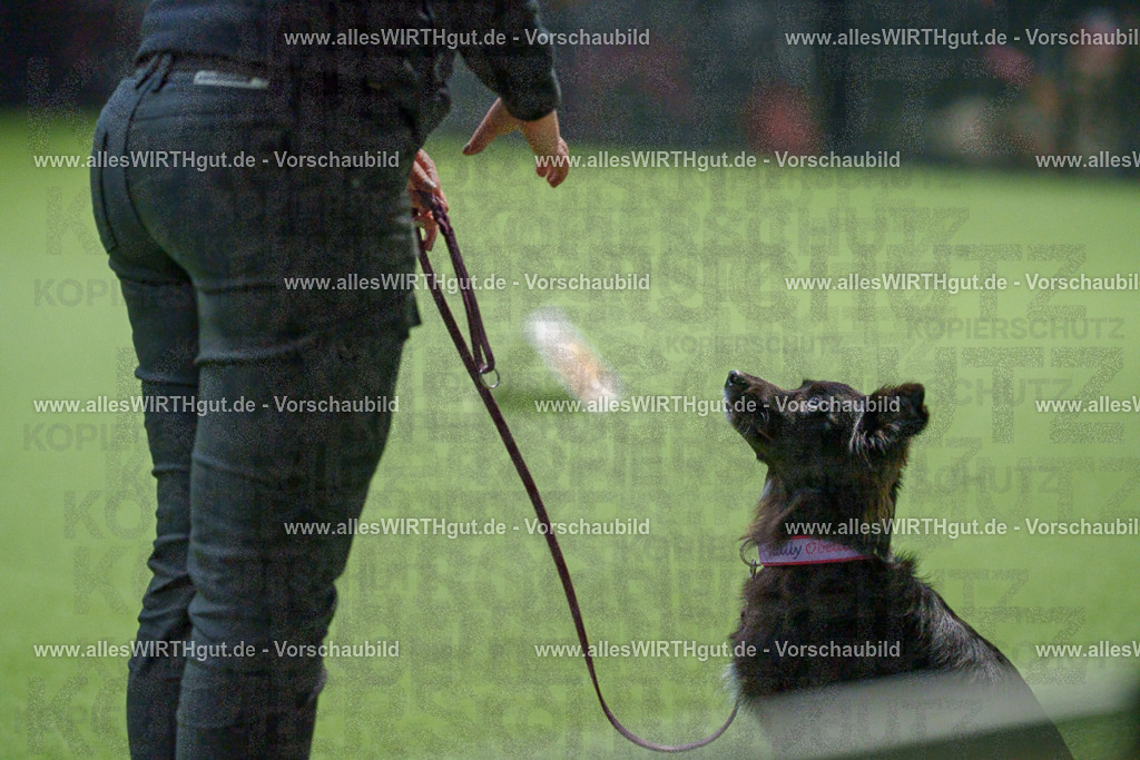 7R505765 | Professionelle Tierfotografie in Mönchengladbach von Daniel Wirth (allesWIRTHgut). Liebevolle & natürliche Bilder von Hunden & Katzen für unvergessliche Erinnerungen.