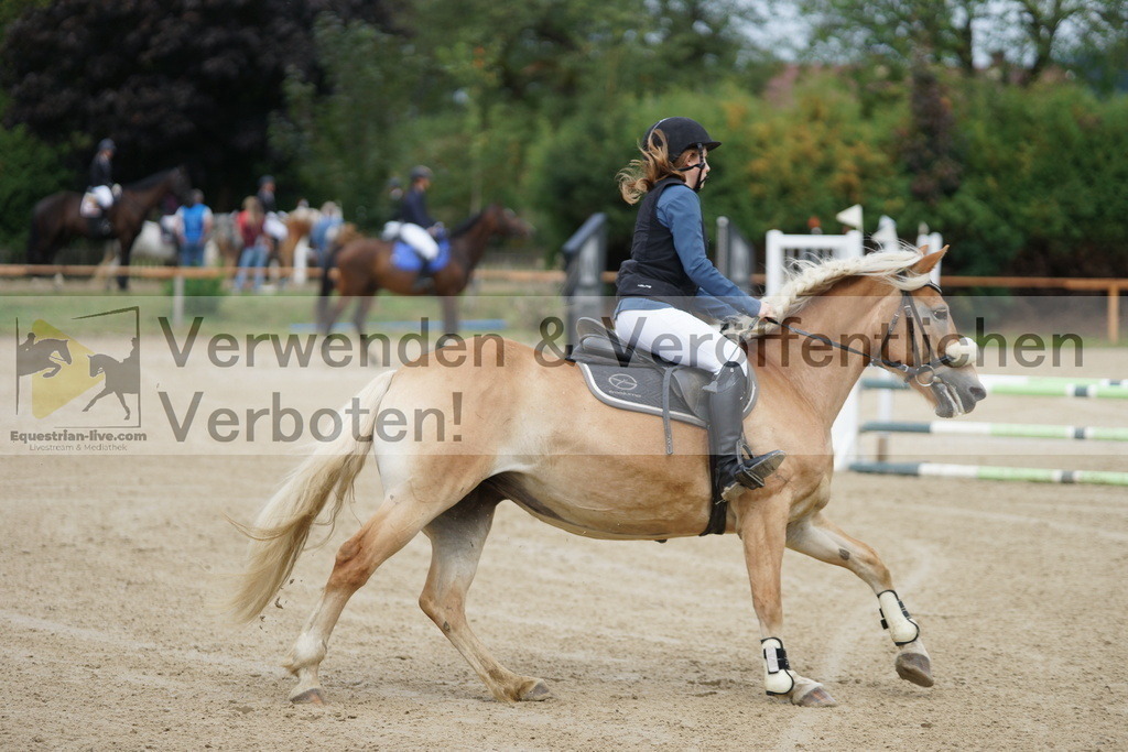 DSC06069 | equestrian-live-com