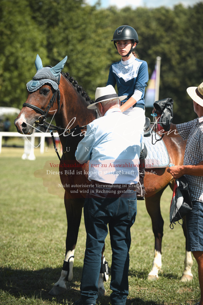 DSC_6820 | Pferde- und Turnierfotografie in Westsachsen. Pferdeportraits, Auftragszeichnungen und intuitive Kunst.