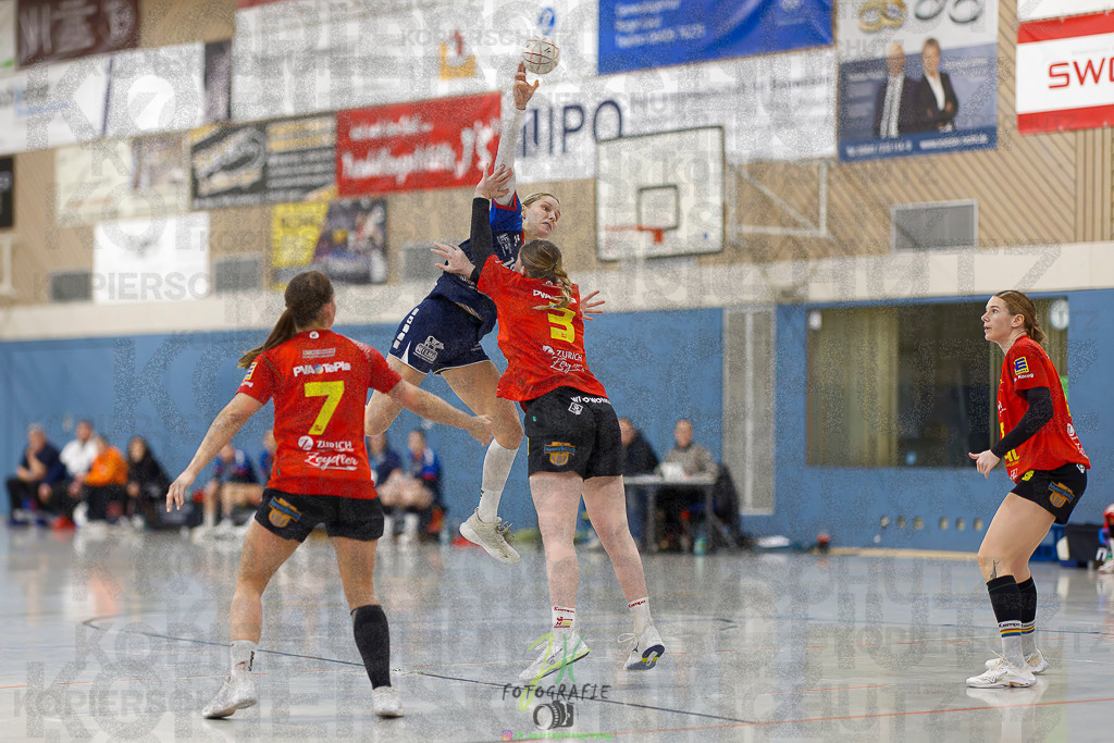 Frauen Regionalliga (HHV); HSG Wettenberg - TV Hüttenberg | Frauen Regionalliga (HHV); HSG Wettenberg - TV Hüttenberg am 06.12.2025 in Launsbach (Wettenberg) (Halle GS Launsbach (Wettenberg))Photo © 2025 - Jörg Heinrich - Realisiert mit Pictrs.com