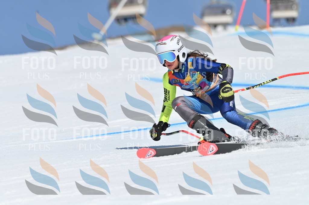 BGV_8812 | holidayphoto