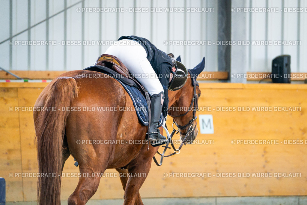 DSC01336 | Pferdegrafie