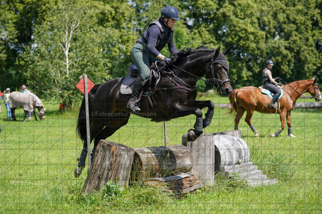 20240622-FAH06845 | Turnierfotografen Bayern, Reitsportbilder aus dem Geländekurs mit Felix Etzel auf dem Gut Waitzacker 2024