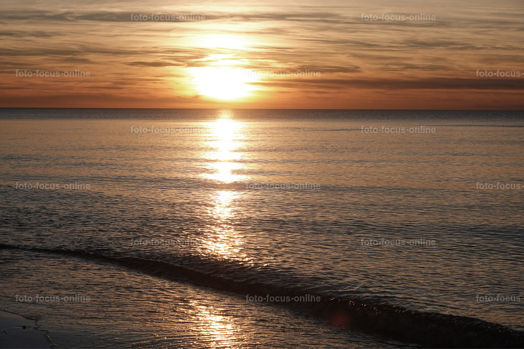 North Beach autumn, Darß | foto-focus-online