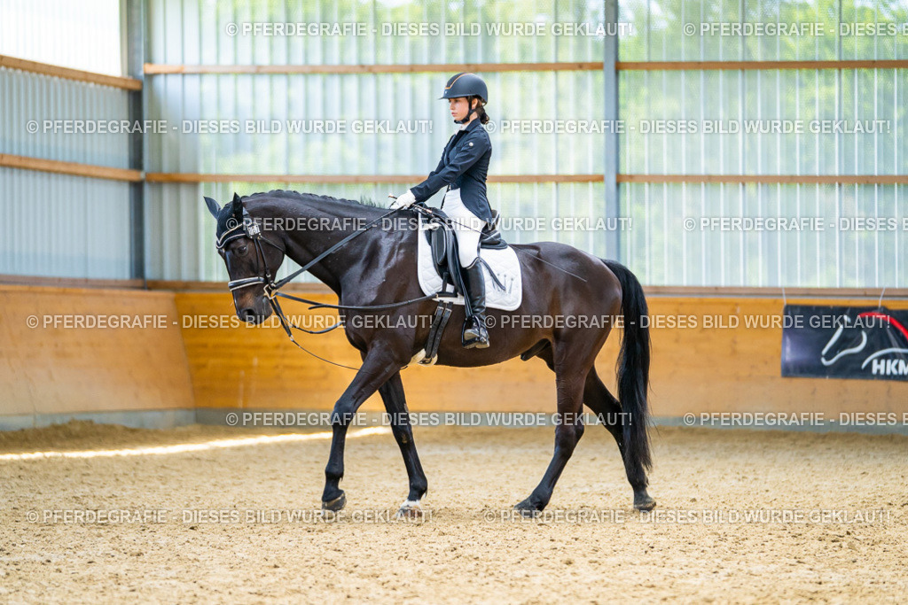 DSC09476 | Pferdegrafie