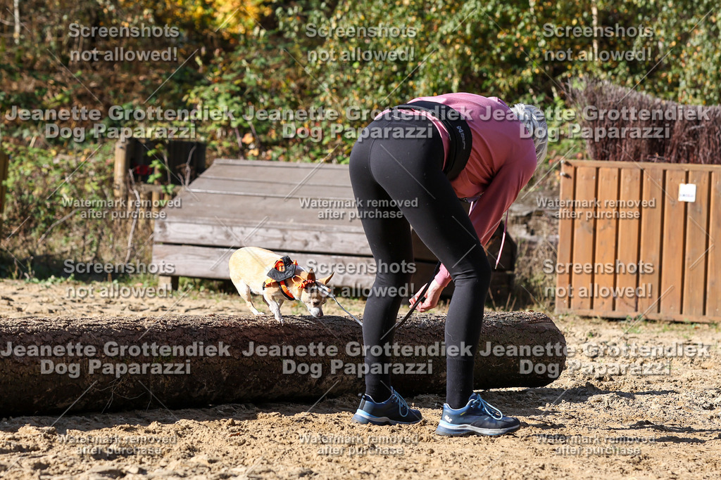 Dog Paparazzi - Strongdog 10-25-4714 | Dog Paparazzi Jeanette Grottendiek Fotografie & Videografie - Realisiert mit Pictrs.com